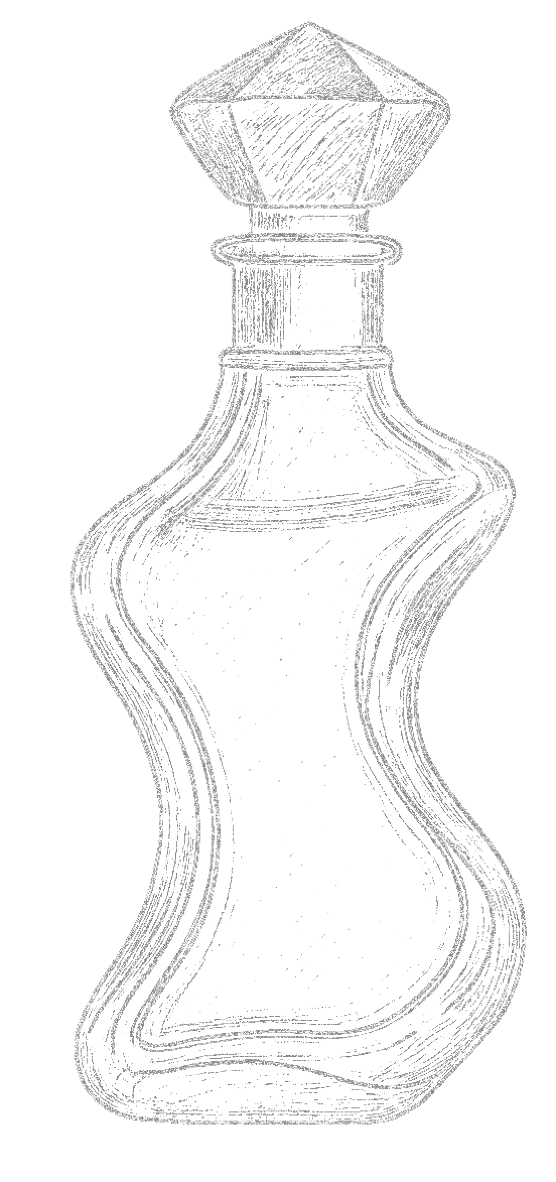 bottle sketch